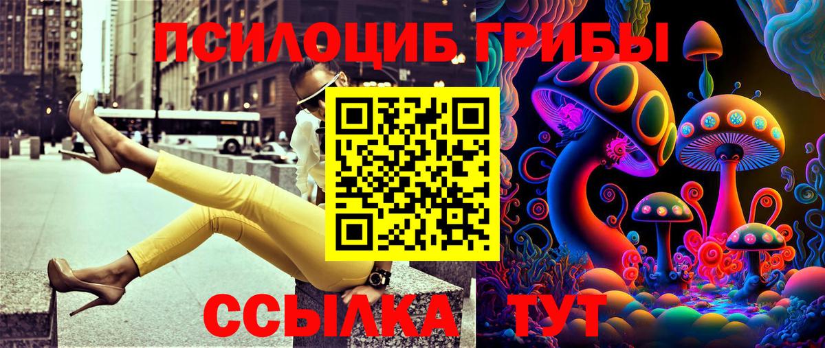 Псилоцибиновые грибы GOLDEN TEACHER  Амурск 