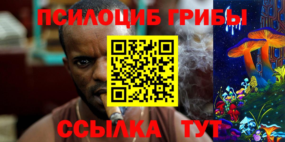 Псилоцибиновые грибы Cubensis  Псилоцибиновые грибы GOLDEN TEACHER  Амурск  Вход с VPN 